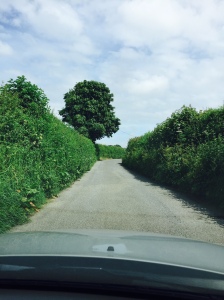 A country road in Somerset, England