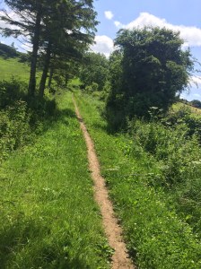 jog in the British countryside